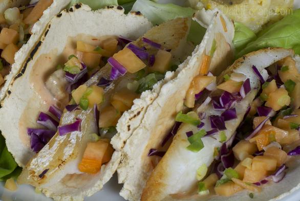 Gluten-free Dairy-free Mexican Fish Tacos