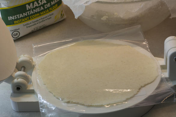 Masa dough pressed for gluten-free dairy-free homemade corn tortillas.