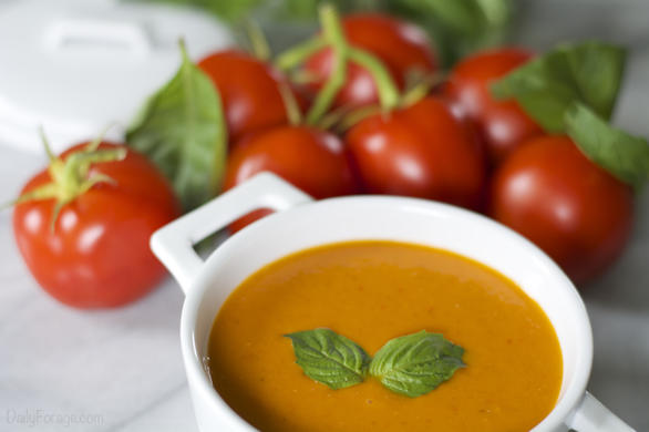 Gluten-free Dairy-free Creamy Homemade Tomato Soup
