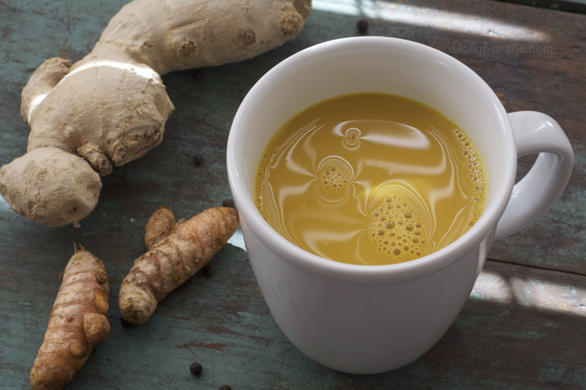 Vegan Golden Milk Turmeric Tea by DailyForage.com