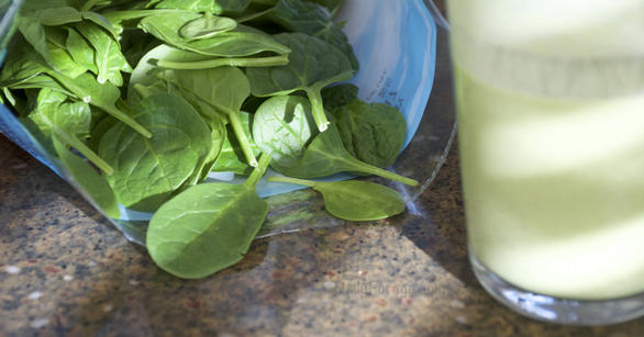 Gluten Free Vegan Green Spinach Oatmeal Breakfast Smoothie by DailyForage.com
