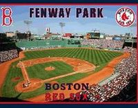 Fenway park tapestry