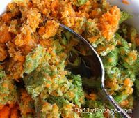 Carrot and Broccoli Pulp sm pic